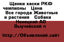 Щенки хаски РКФ чемпионы › Цена ­ 90 000 - Все города Животные и растения » Собаки   . Ненецкий АО,Выучейский п.